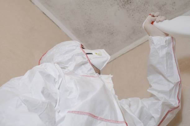 Certified Mold Removal in Grand Prairie, TX