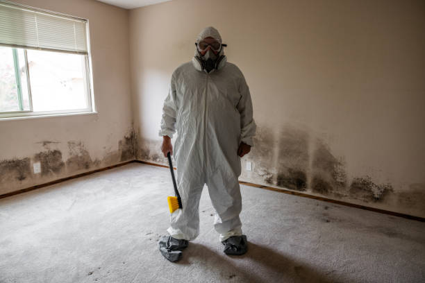 Best Crawl Space Mold Removal  in Grand Prairie, TX